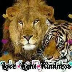 Meet your Posher, Lucretia